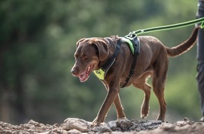 JULIUS K9 Team: Hundegeschirr-Hersteller Julius-K9 denkt auch an die Gesundheit der Halter