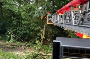 Feuerwehr Schermbeck: FW-Schermbeck: Baum auf Fahrbahn