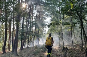 Freiwillige Feuerwehr Stadt Nideggen: FW Nideggen: Waldbrand im Nationalpark bei Schmidt