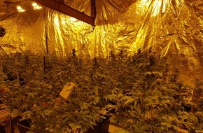Kreispolizeibehörde Märkischer Kreis: POL-MK: Marihuana-Plantage entdeckt
