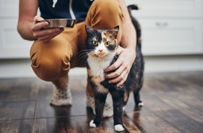 ZZF – Zentralverband der Heimtierbranche e.V.: Der Deutsche Heimtiermarkt 2024