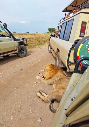 Richtig wild: Auf Safari in den Nationalparks in Uganda