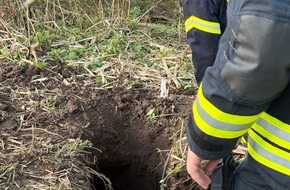Feuerwehr Beverungen: FW Beverungen: Schaf in Notlage / Feuerwehr Beverungen rettet Tier aus rund drei Meter tiefem Loch