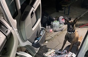 Hauptzollamt Ulm: HZA-UL: Zollhund Athos findet unversteuerte Zigaretten