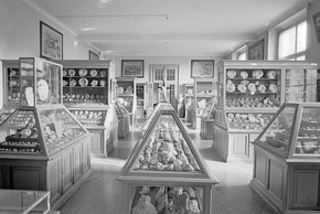 Neue Sonderausstellung &quot;TIERISCH ALT - 200 Jahre Naturmuseum Solothurn&quot;