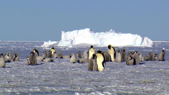 3sat: "wissen aktuell: Das Eis schmilzt": 3sat-Wissenschaftsdoku zu Klimawandel in Polarregionen