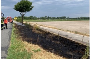 Polizeidirektion Neustadt/Weinstraße: POL-PDNW: Polizeiautobahnstation Ruchheim - Flächenbrand neben B9