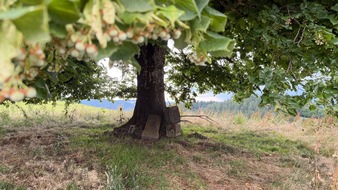 Allg&auml;u GmbH: Spur der H&auml;user - Einladung Presse- und Fototermin am 7. Mai, 10:30 Uhr, Haus Tanne, Eisenbach, Isny