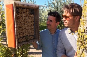 ZDF: Ideen für Insektenparadiese bei "plan b" im ZDF (FOTO)