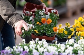 BUND: ++ BUND-Zierpflanzentest: Giftfalle im Blumentopf – Einige „bienenfreundliche“ Pflanzen sind Sondermüll –  #BesserOhneGift | Bitte Sperrfrist 05.00 Uhr beachten  | SPERRFRIST 05.00 Uhr ++