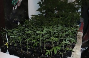 Polizei Münster: POL-MS: Polizisten entdecken Cannabis-Plantage mit über 200 Pflanzen - 27-Jähriger festgenommen