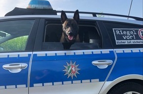 Polizei Dortmund: POL-DO: Diensthund Jack hilft bei Festnahme eines mutmaßlichen Einbrechers - zwei Tatverdächtige gestellt