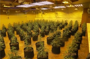 Polizeiinspektion G&ouml;ttingen: POL-G&Ouml;: (288/2026) Professionelle Cannabis-Plantage in ehemaliger Gastst&auml;tte in Wulften entdeckt - rund 400 Pflanzen beschlagnahmt, 39-J&auml;hriger festgenommen