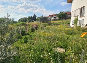 Deutschland summt!-Pflanzwettbewerb: Beste Naturgartenprojekte 2026 ausgezeichnet