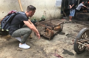 Förderverein Animal Hope and Wellness e.V.: "Wie ein Gang durch die Hölle..." / Indonesien: Hunde und Katzen grausam erschlagen und anschließend verbrannt