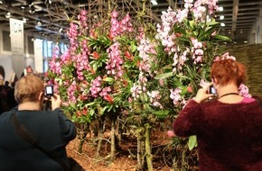 Messe Berlin GmbH: "Natürlich schöne Augenblicke" - Zentralverband Gartenbau verzaubert Grüne Woche-Besucher mit Blumen und Pflanzen