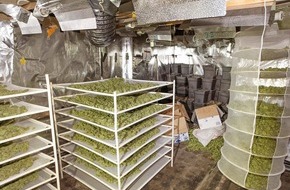 Polizeipräsidium Recklinghausen: POL-RE: Castrop-Rauxel: Cannabis-Plantage entdeckt - Fünf Männer in U-Haft