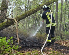 FW Celle: Waldbrand in Westercelle - L&ouml;scharbeiten werden aus der Luft unterst&uuml;tzt!