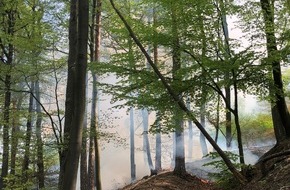 Polizeidirektion Kaiserslautern: POL-PDKL: Wald brennt bei Martinshöhe