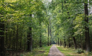 FriedWald GmbH: Zehn Jahre FriedWald Gartenreich Dessau-Wörlitz