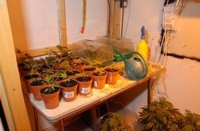 Polizeiinspektion Northeim: POL-NOM: Cannabisplantage entdeckt - Bilder im Anhang