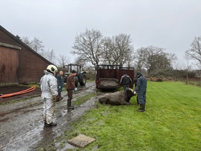 FW-AUR: Zwei Kühe aus Lebensgefahr gerettet