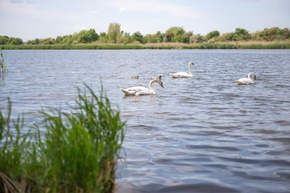 Naturschutz und Naturerlebnisse für Schutzgebiete: Gemeinsam ein sozio-ökonomisches Monitoring entwickeln
