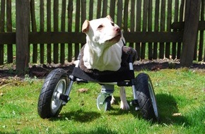 Multec GmbH: Rollstuhl aus dem 3D-Drucker für Hündin Luisa / Multec entwickelt einen Rollstuhl aus dem 3D-Drucker für Hündin ohne Vorderbeine