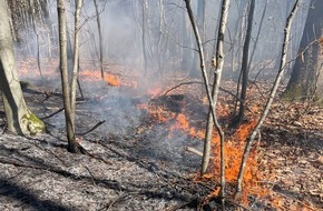 Feuerwehr Stuttgart: FW Stuttgart: Brand in Wald breitet sich schnell aus