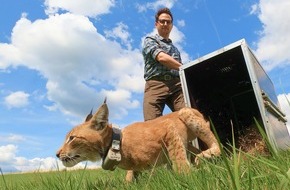 PLAN-B NET ZERO: Clean Energy Meets Wild Nature: PLAN-B NET ZERO Becomes Official Rewilding Partner of Planet Wild