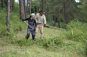 Bergwaldprojekt e.V.: Ehemaliger Hutewald und Offenlandbiotope werden von Bergwaldprojekt-Freiwilligen gepflegt