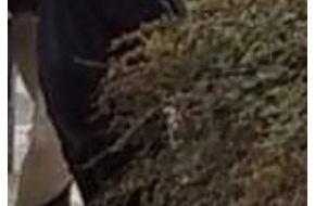 Polizei Bielefeld: POL-BI: Polizei veröffentlicht Fotos von Tatverdächtigen zu einer Körperverletzung im April 2021