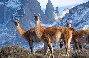 ZDF: "Sieben Kontinente - ein Planet": BBC Studios und ZDF koproduzieren großen dokumentarischen Mehrteiler (FOTO)