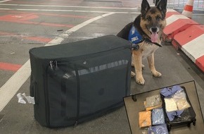 Hauptzollamt Frankfurt am Main: HZA-F: Hauptzollamt Frankfurt am Main stellt 12,4 Kilogramm Kokain sicher Rauschgiftspürhund "Harro" stellt seine gute Spürnase unter Beweis