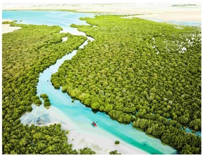 Jenseits der Skyline von Doha: Wüstenlandschaften, Küstenökosysteme und Outdoor-Erlebnisse