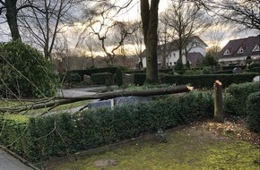 Kreispolizeibehörde Höxter: POL-HX: Linde auf Friedhof gefällt - Zeugenaufruf