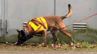 Polizei Gelsenkirchen: POL-GE: Erfolgreicher Einsatz - Personensp&uuml;rhund feiert ersten Erfolg
