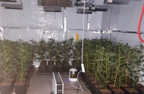 Zollfahndungsamt Essen: ZOLL-E: Proessionelle Marihuana-Plantage ausgehoben - 220 Marihuanapflanzen, 5 kg fertiges Marihuana, 1 kg Amphetamin und ca. 3.500 euro Bargeld sichergestellt