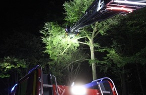 Freiwillige Feuerwehr Werne: FW-WRN: TH_1_A: Baum auf Fahrbahn - erster Sommerbruch im Stadtwald