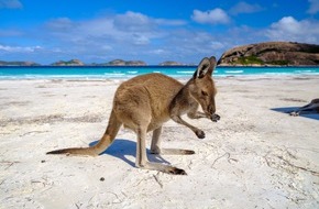 Tourism Western Australia: Der schönste Strand der Welt liegt in Westaustralien / "The World's 50 Best Beaches" hat Lucky Bay zum schönsten Strand der Welt gekürt und zwei weitere westaustralische Strände in die Top 50 gewählt