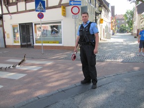 POL-F: 130729 - 684 Fechenheim: Alle meine Gänschen.... - Bitte Fotos beachten!