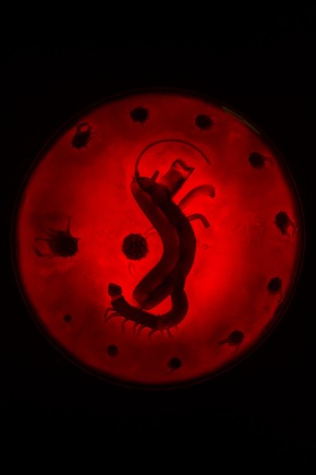 Heimspiel 2024 im Kunstmuseum St.Gallen