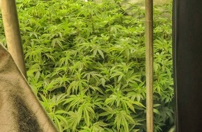 Polizeipräsidium Mittelhessen - Pressestelle Wetterau: POL-WE: Markanter Marihuana-Geruch entlarvt Indoor-Aufzuchtanlage in Karben