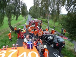 POL-WL: Neu Wulmstorf - Tödlicher Verkehrsunfall ++ Ramelsloh - Schwerer Verkehrsunfall - 3 Personen eingeklemmt