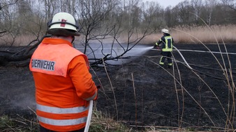 Freiwillige Feuerwehr Celle: FW Celle: 600 m² Grasland brennen an der Aller