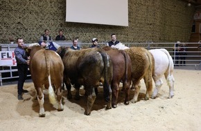 LID Pressecorner: Grosse Auswahl am Fr&uuml;hlings Stierenmarkt f&uuml;r Fleischrinder