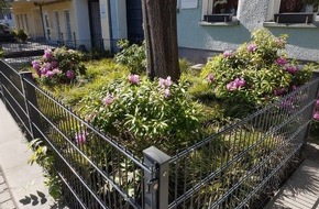 goodRanking Online Marketing Agentur: Zwischen Blumen, Beeten und Bäumen: Lösungen für altersgerechte Gärten