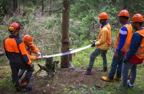 Bergwaldprojekt e.V.: Fast 40 Freiwillige im Einsatz für die Natur - das Bergwaldprojekt am Feldberg