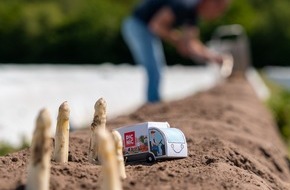 Picnic: Spargelboom in Deutschland / Ranking zeigt, wo am meisten geschlemmt wird