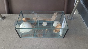 Polizeipräsidium Rheinpfalz: POL-PPRP: Glasvitrine mit über 1.000 Jahre alten menschlichen Überresten abgestellt - Zeugen gesucht